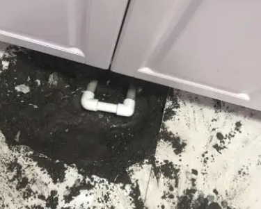 白河查漏水哪家好